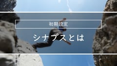 シナプス機能ガイド | シナプスとは